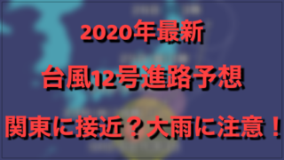 文字，画像